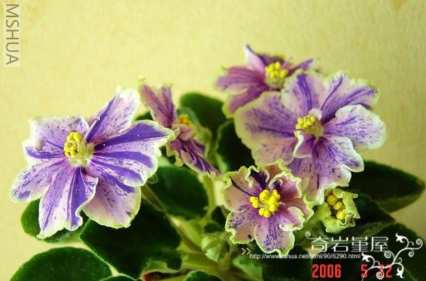 G-2-Rebel��s Astro Spinner  �������̣���ʮ����ߣ�.jpg