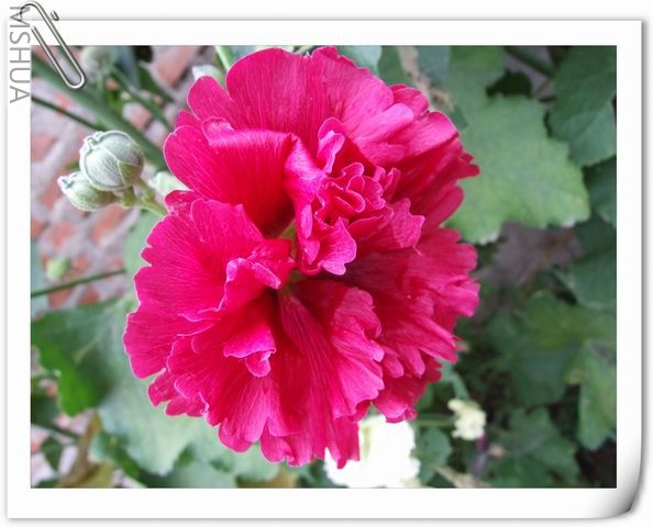 ������С ��54.jpg