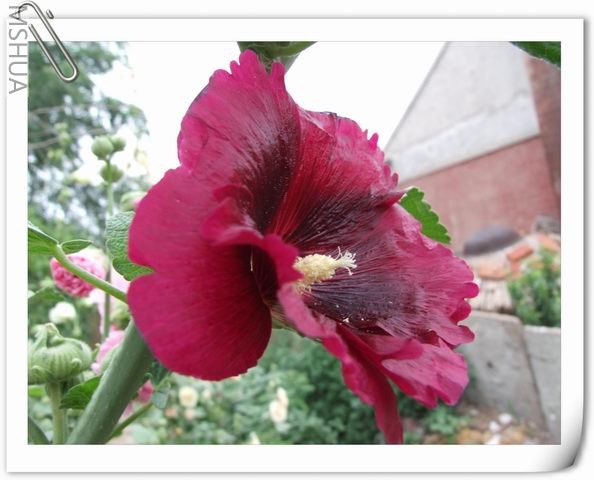 ������С ��52.jpg