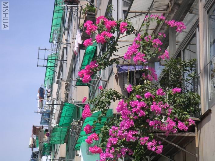 �����ʢ����Ȼ