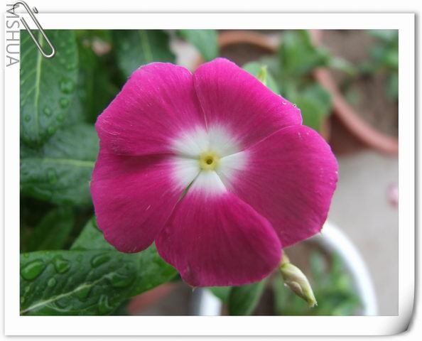 ������С ��58.jpg