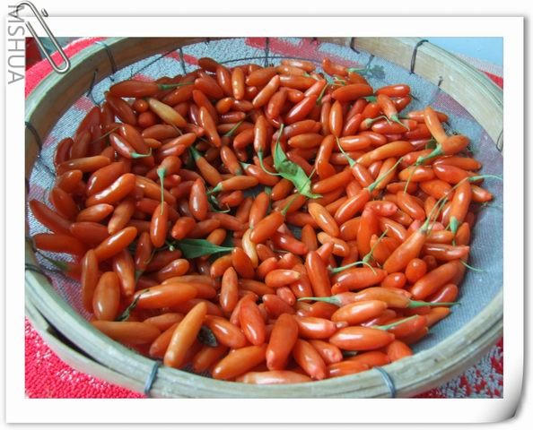 ������С ˮ�����45.jpg