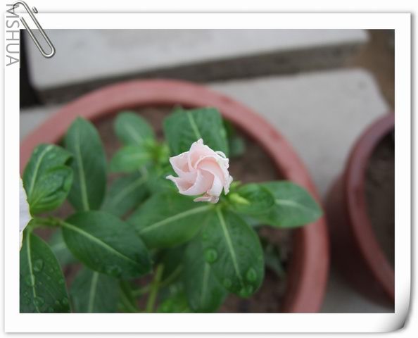 ������С ��62.jpg