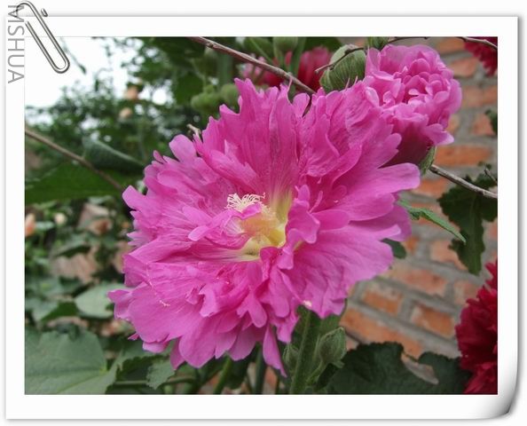 ������С ��56.jpg