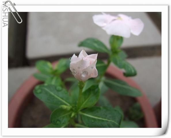 ������С ��64.jpg