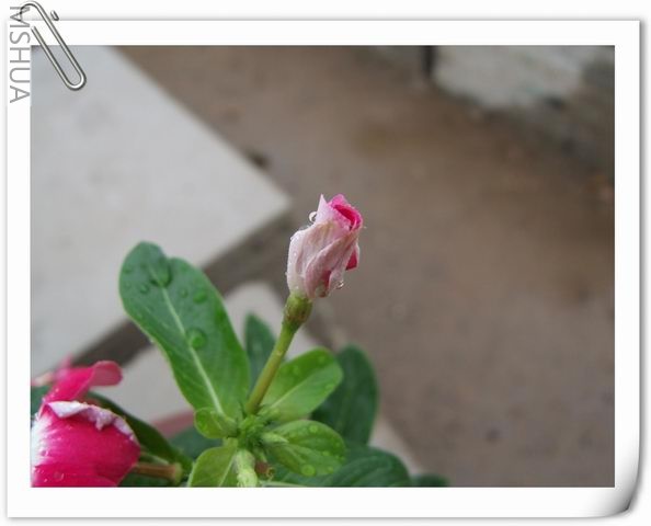 ������С ��63.jpg