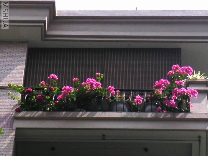 ��������������÷