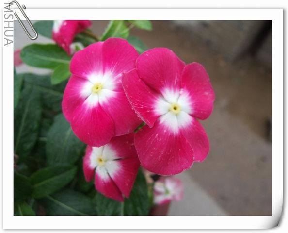 ������С ��60.jpg