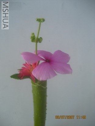 ��Ƭ0629 002_��С��С.jpg