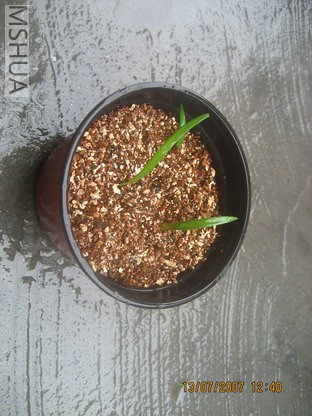 ��Ƭ0629 005_��С��С.jpg