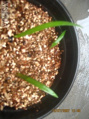 ��Ƭ0629 004_��С��С.jpg