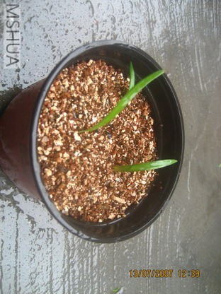 ��Ƭ0629 003_��С��С.jpg