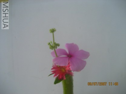 ��Ƭ0629 001_��С��С.jpg