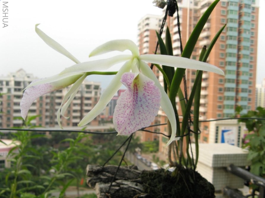 �ҵ����� 072.jpg