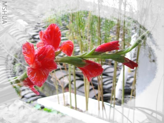 IMG_16260.jpg