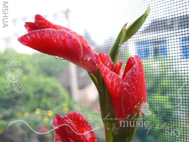 IMG_16470.jpg