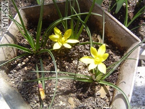 20070325_d6d1592762f61df2fe33WgQqLGzdizJK.jpg
