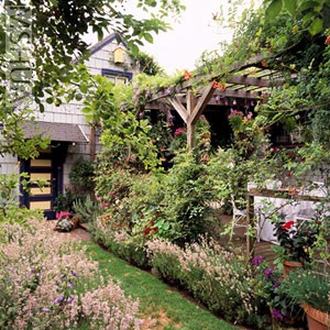 patio9.jpg