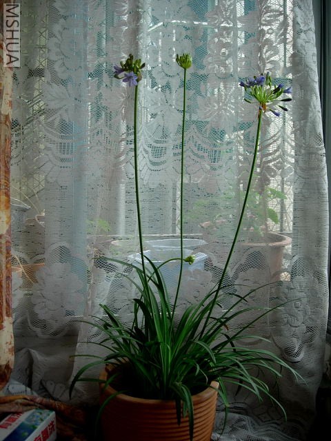 2005931643869866.jpg