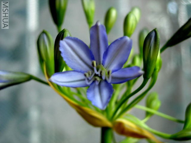 200593162730399.jpg