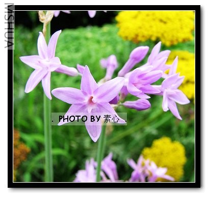 �д�ֲ���Ͻ�������������~