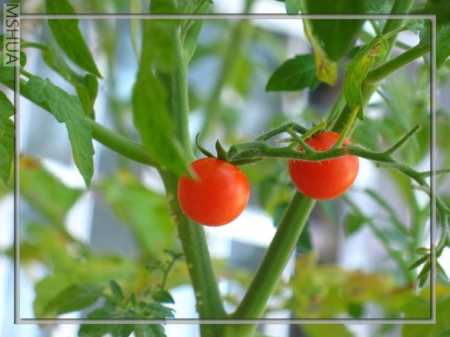 ���һֱ�᲻�ó�