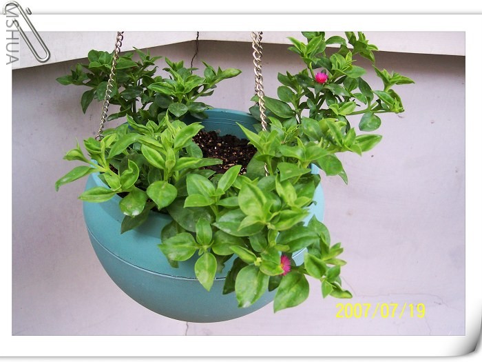 ��һ�β�Ǥ��ĵ����������