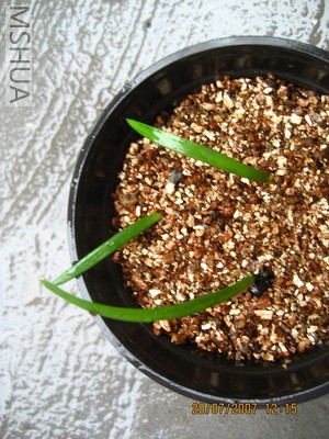 ��Ƭ 015_������С.jpg