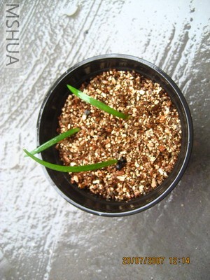 ��Ƭ 014_������С.jpg