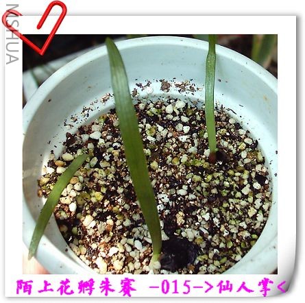 7��21�� (4).JPG