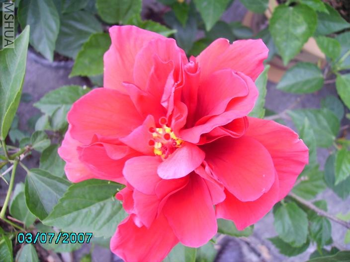 �����ɫ�۷۵�,��ʵ�Ǵ���,�������ĵ�ʱ���ƾ�û�Ժð�!