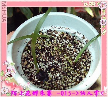 7��21�� (1).JPG