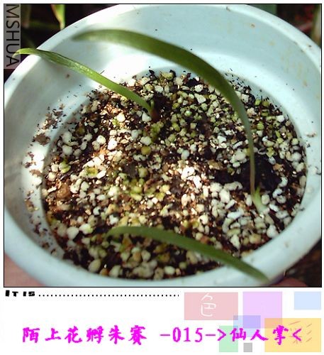 7��21�� (3).JPG