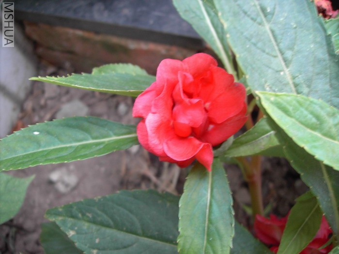PICT0155.JPG