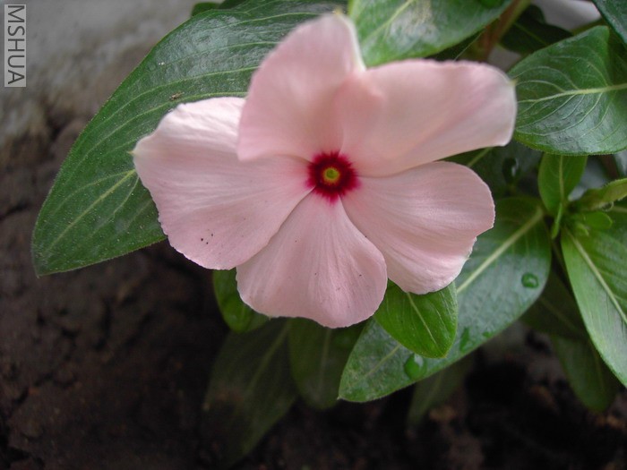 PICT0128.JPG