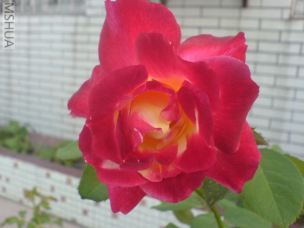 DSC00723.JPG