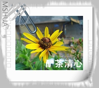 DSC03978.jpg