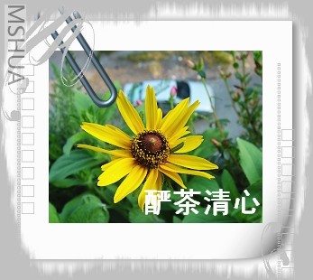 DSC03980.jpg