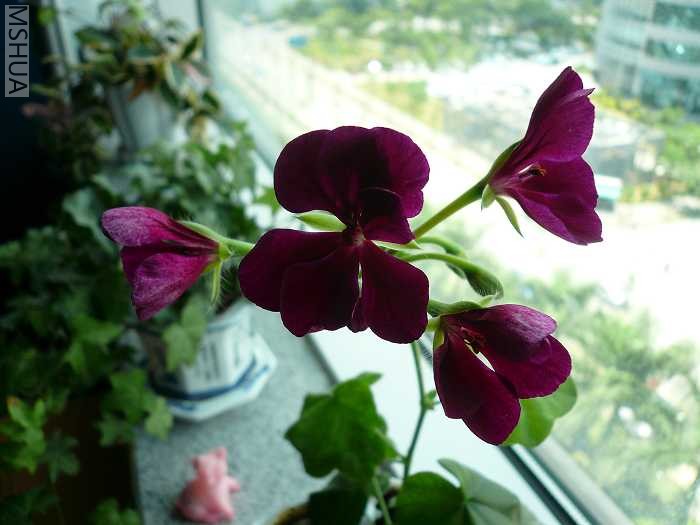 ����Ҳ��С,�ӽ�4������