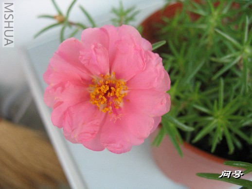 BigBull_ͼƬ 016.jpg