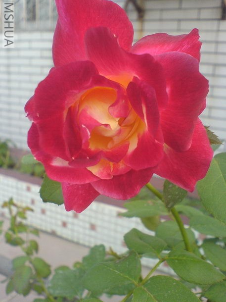 DSC00722.JPG