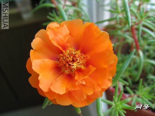 BigBull_ͼƬ 029.jpg