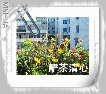 DSC03989.jpg