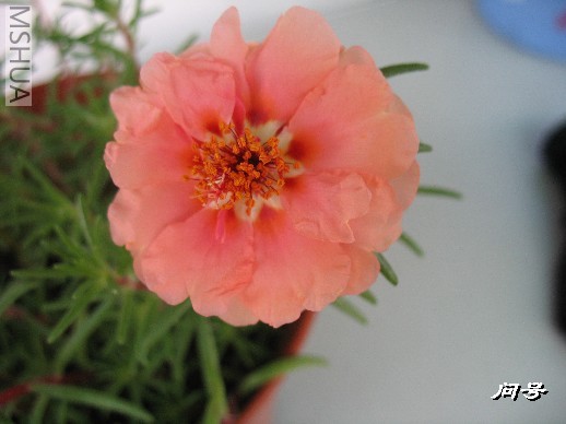 BigBull_ͼƬ 017.jpg