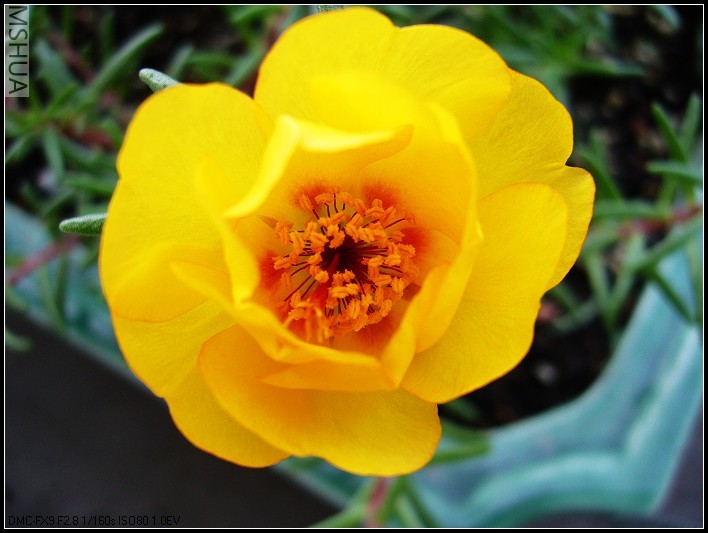 ̫���� ̫���� ��ɫ-2006.6.24����9��27_nEO_IMG.jpg