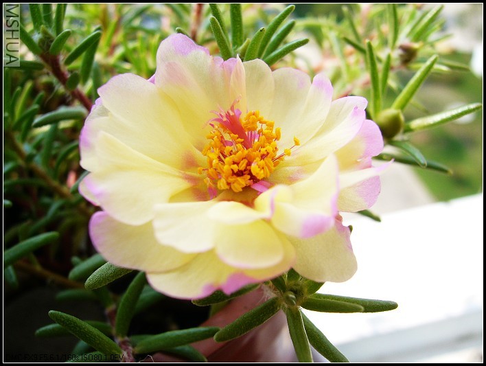 ̫���� ��ɫ3_nEO_IMG.jpg