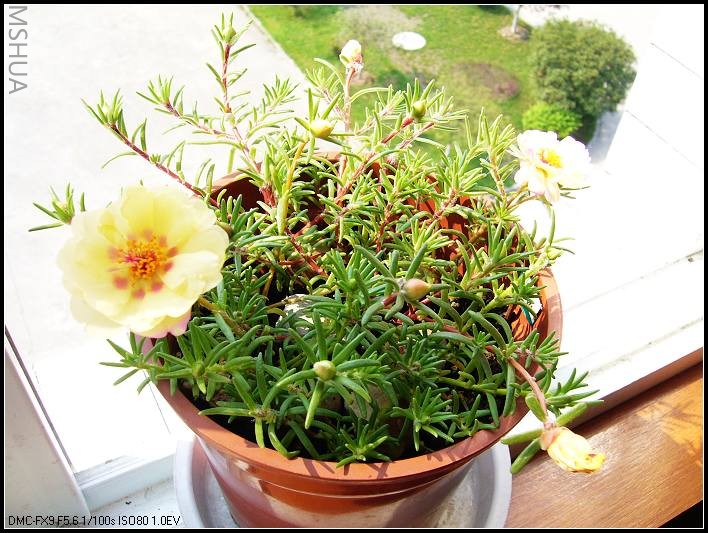 ̫���� ��ɫ �Ӱ칫�Ҵ�̨������_nEO_IMG.jpg