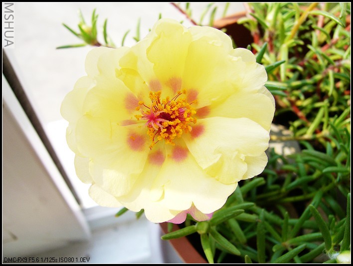 ̫���� ��ɫ2_nEO_IMG.jpg