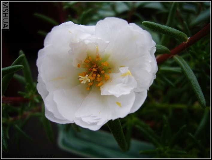 ̫���� ��ɫ_nEO_IMG.jpg