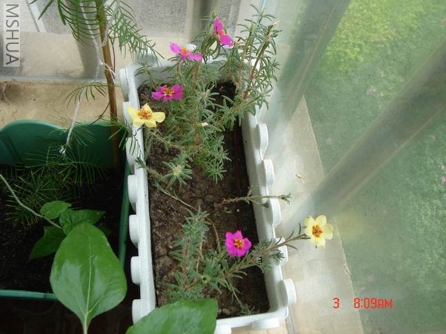 ������С 04.JPG